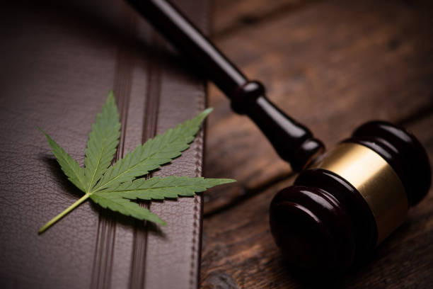 Marijuana Use Disputed in Rooftop Fall Injury Claim