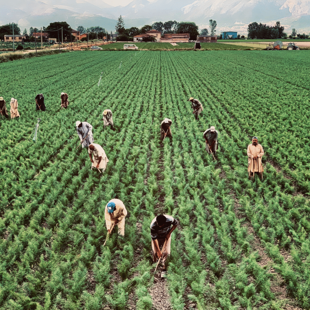 Farmworker Protection Legislation Advances in California Assembly