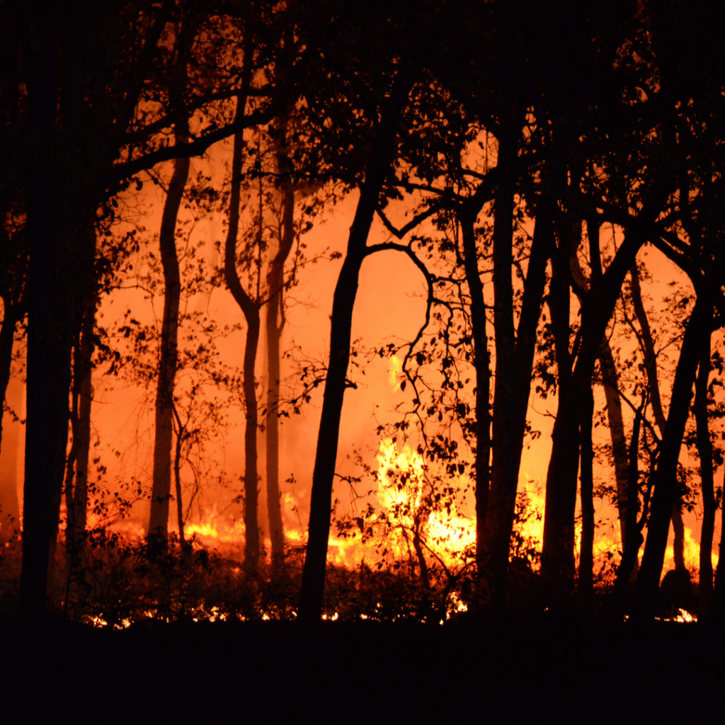 Wildfire Smoke Protection for Workers: Cal/OSHA’s 2025 Safety Guidelines